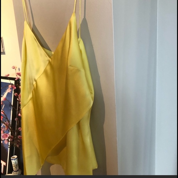 NWT CUSHNIE ET OCHS STUNNING SILK CAMI - Picture 5 of 8